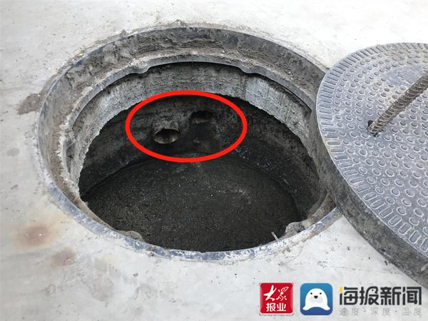 福建臺幫幫團最新一期揭秘，小巷深處的隱藏美食瑰寶