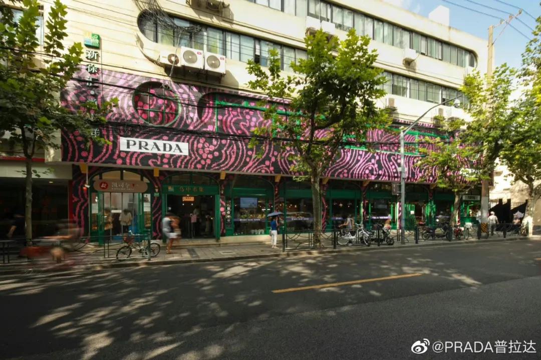 東南坊扦遷最新動(dòng)態(tài)，變化中的學(xué)習(xí)之旅，成就感的源泉