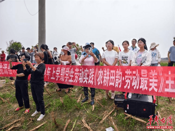 桃源木塘垸鄉(xiāng)新動(dòng)態(tài)，趣事連連，真摯友情綻放鄉(xiāng)間