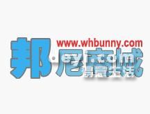 葫蘆島最新營業(yè)員招聘動態(tài)，背景分析與影響探討