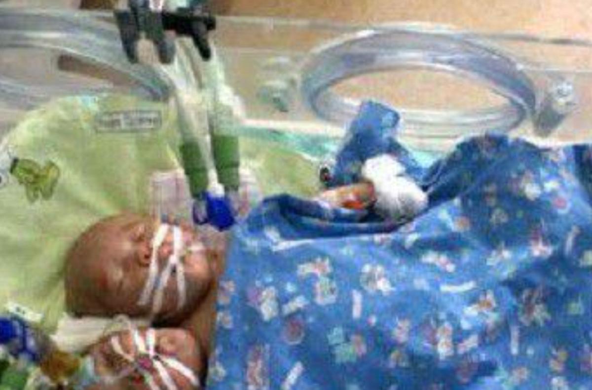 雙頭姐妹，時代背景下的傳奇故事最新進展