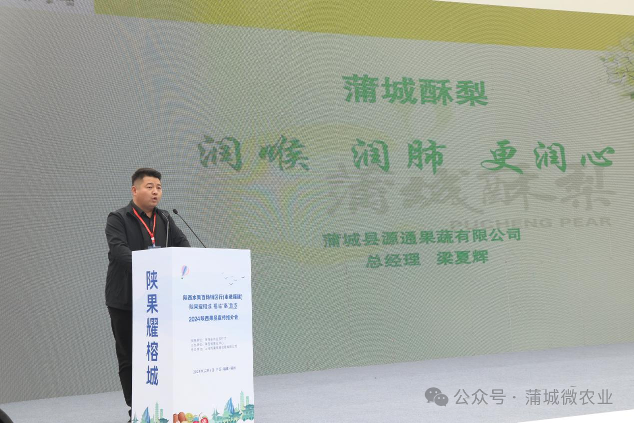 梨城資訊速遞，探索梨城新動態(tài)與發(fā)展趨勢