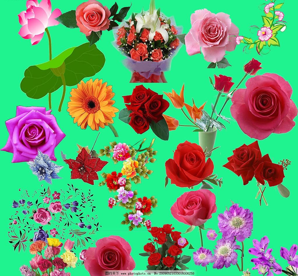 最新花款下載，愛與陪伴的溫馨之旅