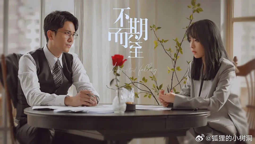 不期而至電視劇，從入門到進階的觀看指南