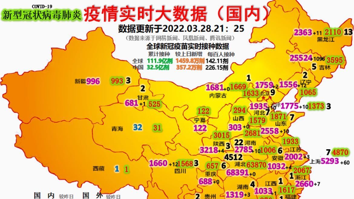 最新疫情動態(tài)詳解，初學者與進階用戶的步驟指南