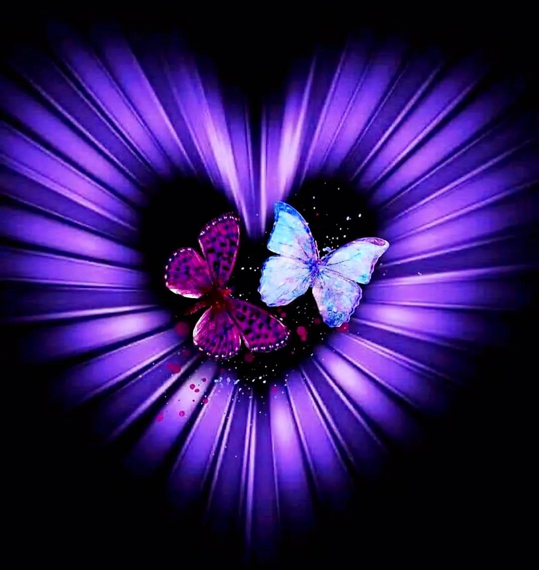 最新情感交流圈，學(xué)習(xí)、成長與自信的力量之源