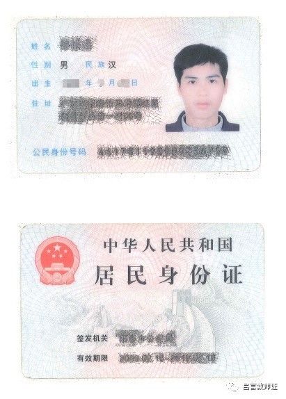 最新證照，友情與陪伴的溫馨故事之旅