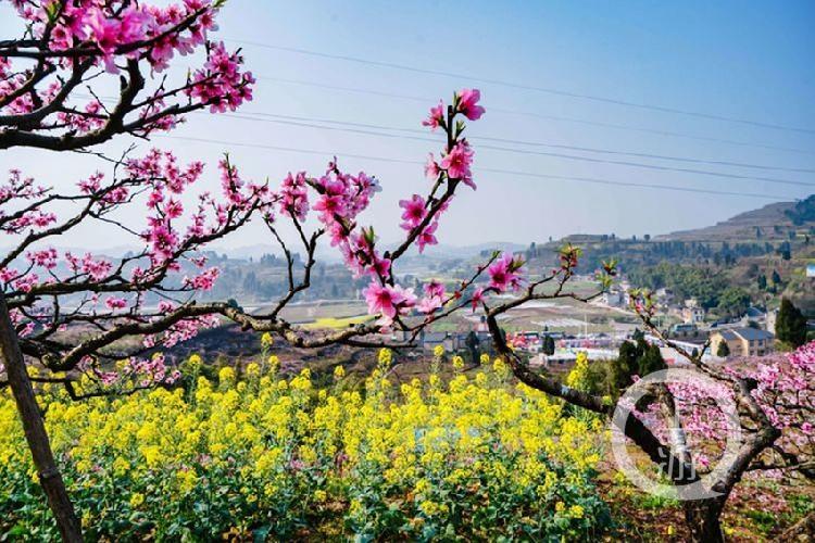 合川最新科技新聞，高科技產(chǎn)品引領未來生活潮流
