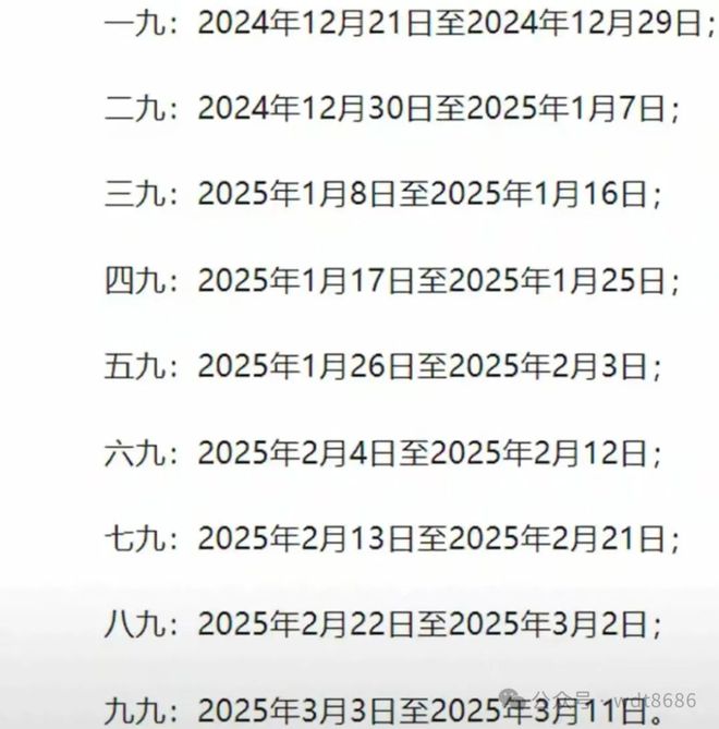 最新久久網2025，友情小船與溫馨日常的交織