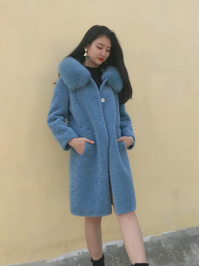 三七花最新價(jià)格揭秘，溫馨小故事中的尋找之旅
