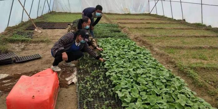 策勒最新招聘啟航人才新篇章，學(xué)習(xí)變化，擁抱自信與成就，啟程人生新征程！