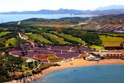 心悅海島探險攻略，最新任務(wù)指南與探險體驗(yàn)