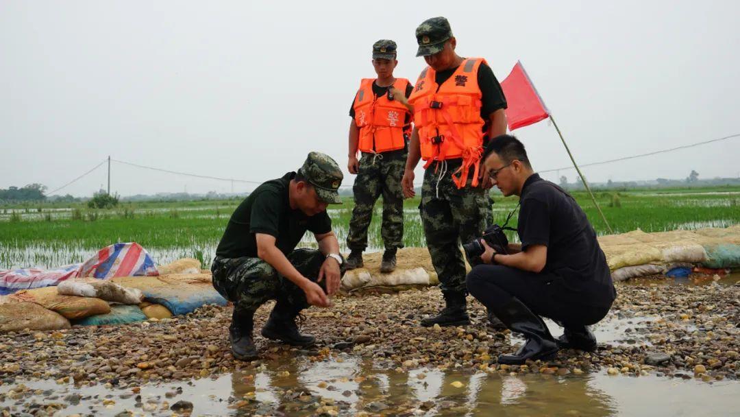 永修最新聞，背景探尋與時代地位的重要事件回顧