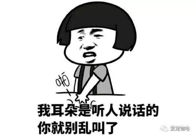 最新枕邊笑話，科技小寶貝，生活添樂(lè)趣