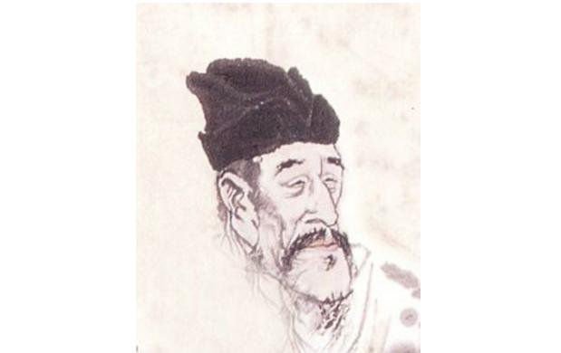 最新孤雁圖片，展現(xiàn)自然之美與深意的瞬間