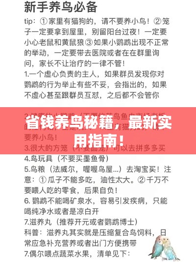 最新養(yǎng)鳥法規(guī)解析，觀點(diǎn)闡述與深度探討