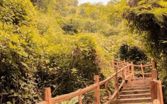 小99最新，科技、生活與娛樂的交融之地
