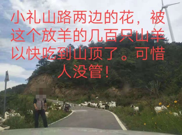 大悟最新路，探索未知，自信成就夢(mèng)想之旅的啟程