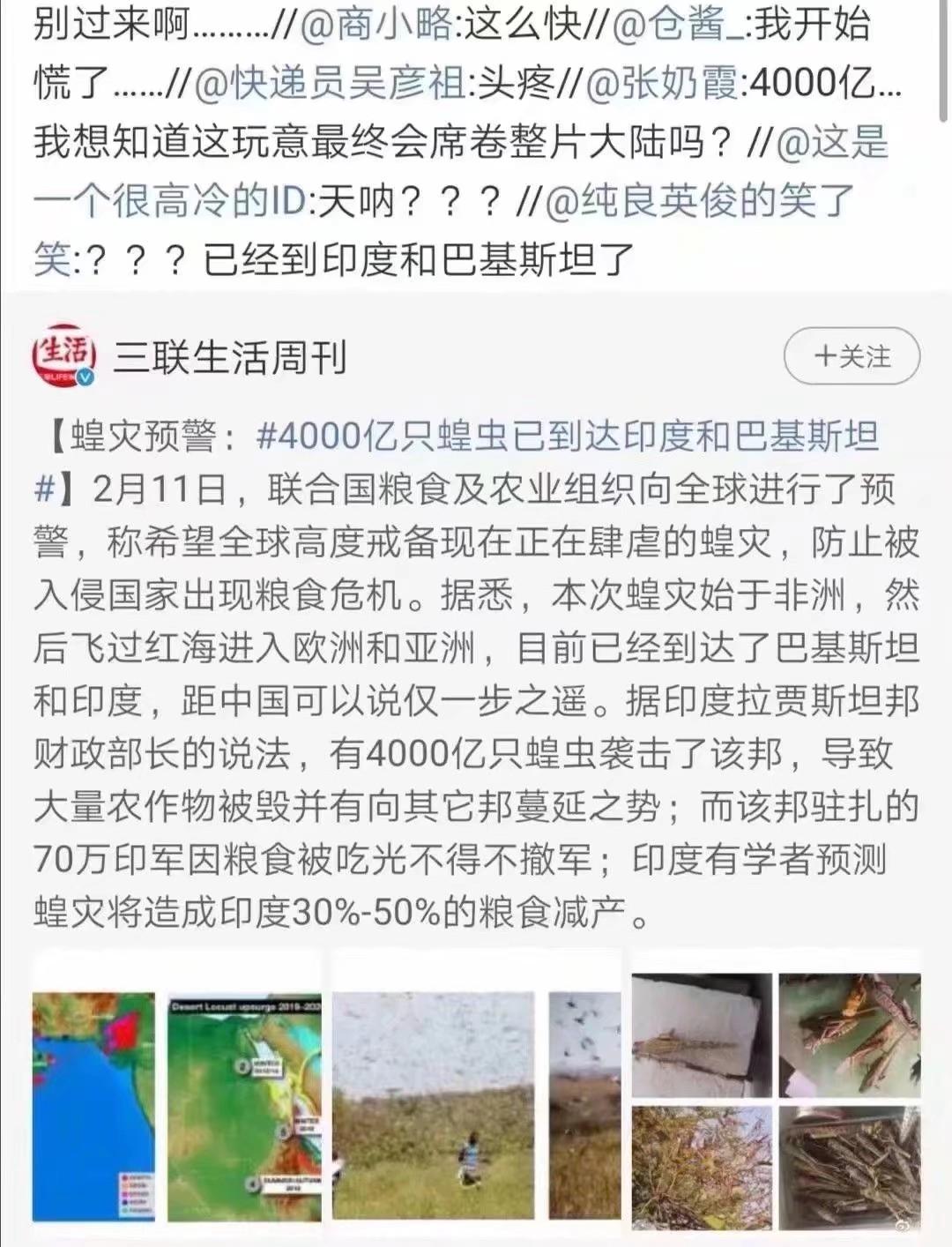 蝗蟲最新動(dòng)態(tài)，防治與監(jiān)測(cè)的全面指南