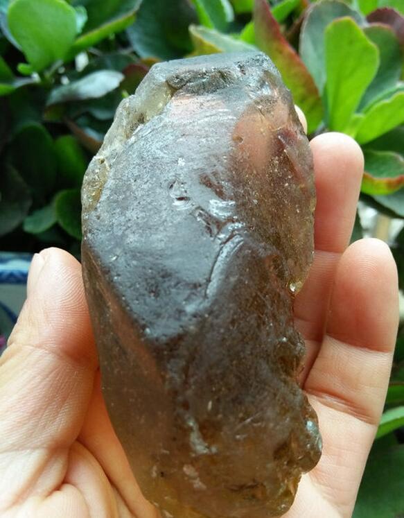 最新鑒定法，揭示友情的印記與家的溫馨