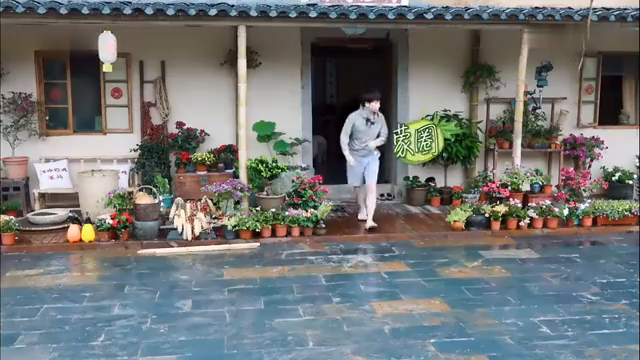 最新蘑菇屋，自然與生活完美融合的夢幻之地