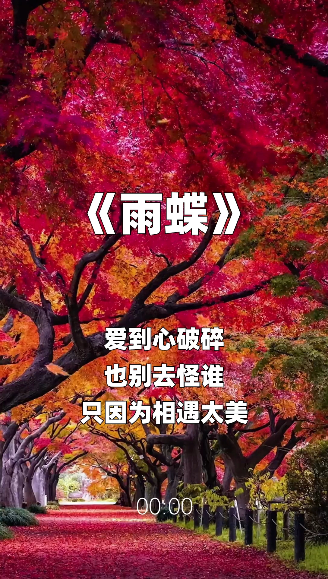 雨蝶最新步驟指南，如何完成任務(wù)或?qū)W習(xí)技能？