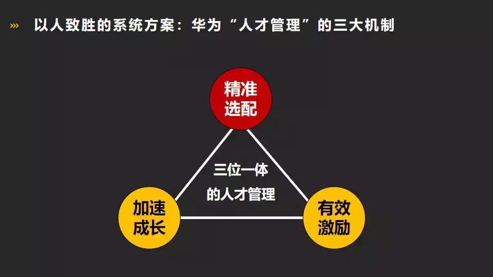 華為最新書籍探索，小巷中的書香寶藏