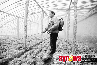 最新農(nóng)藥抽檢結(jié)果出爐，守護農(nóng)田安全，你我他的共同責(zé)任