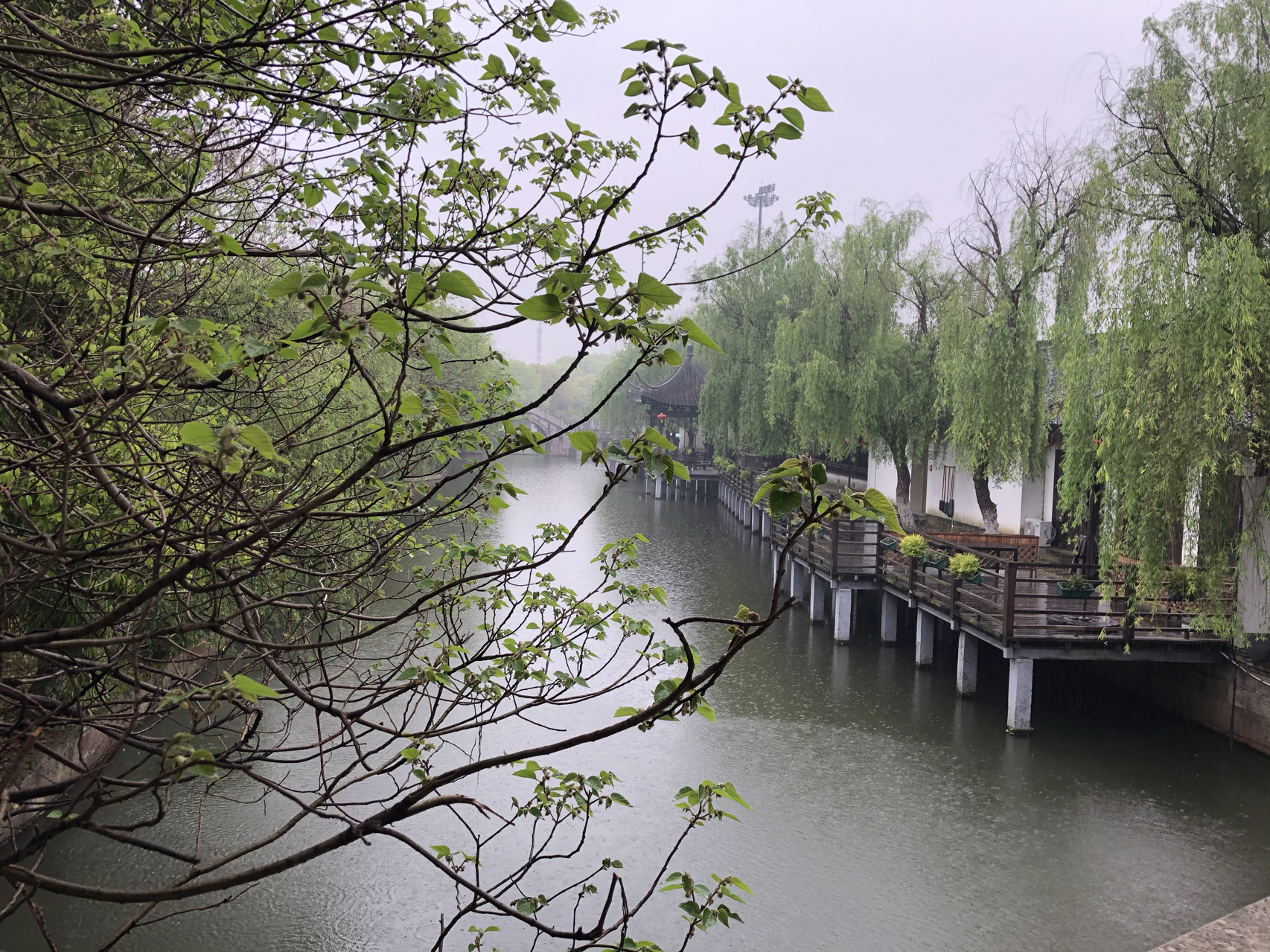 江南煙雨最新，自信與成就感的成長(zhǎng)之旅