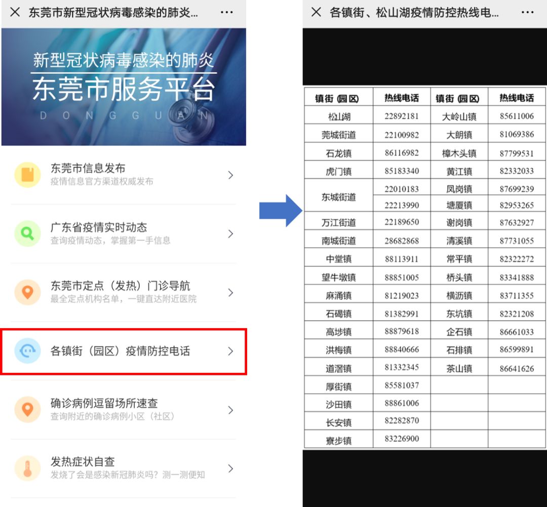 東莞最新疫情狀況，逆風(fēng)翱翔，用知識(shí)守護(hù)夢(mèng)想健康