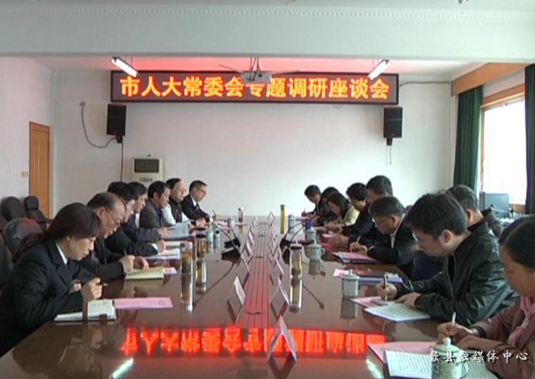 安徽歙縣最新動(dòng)態(tài)，小巷深處的驚喜