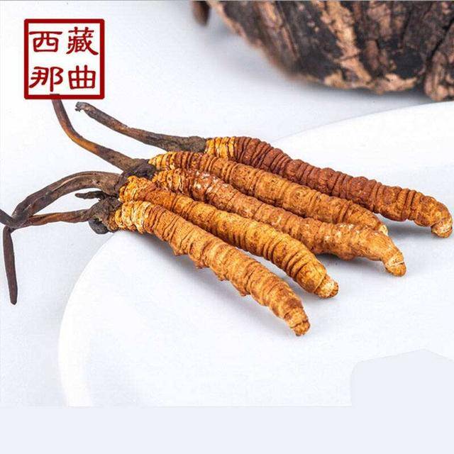 廣場燈具 第39頁