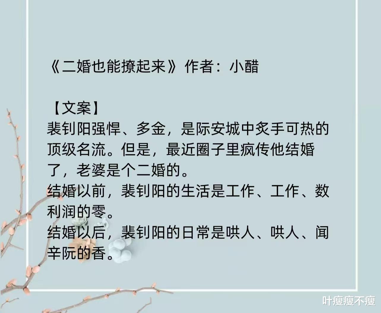 最新二婚小說，小巷深處的浪漫故事