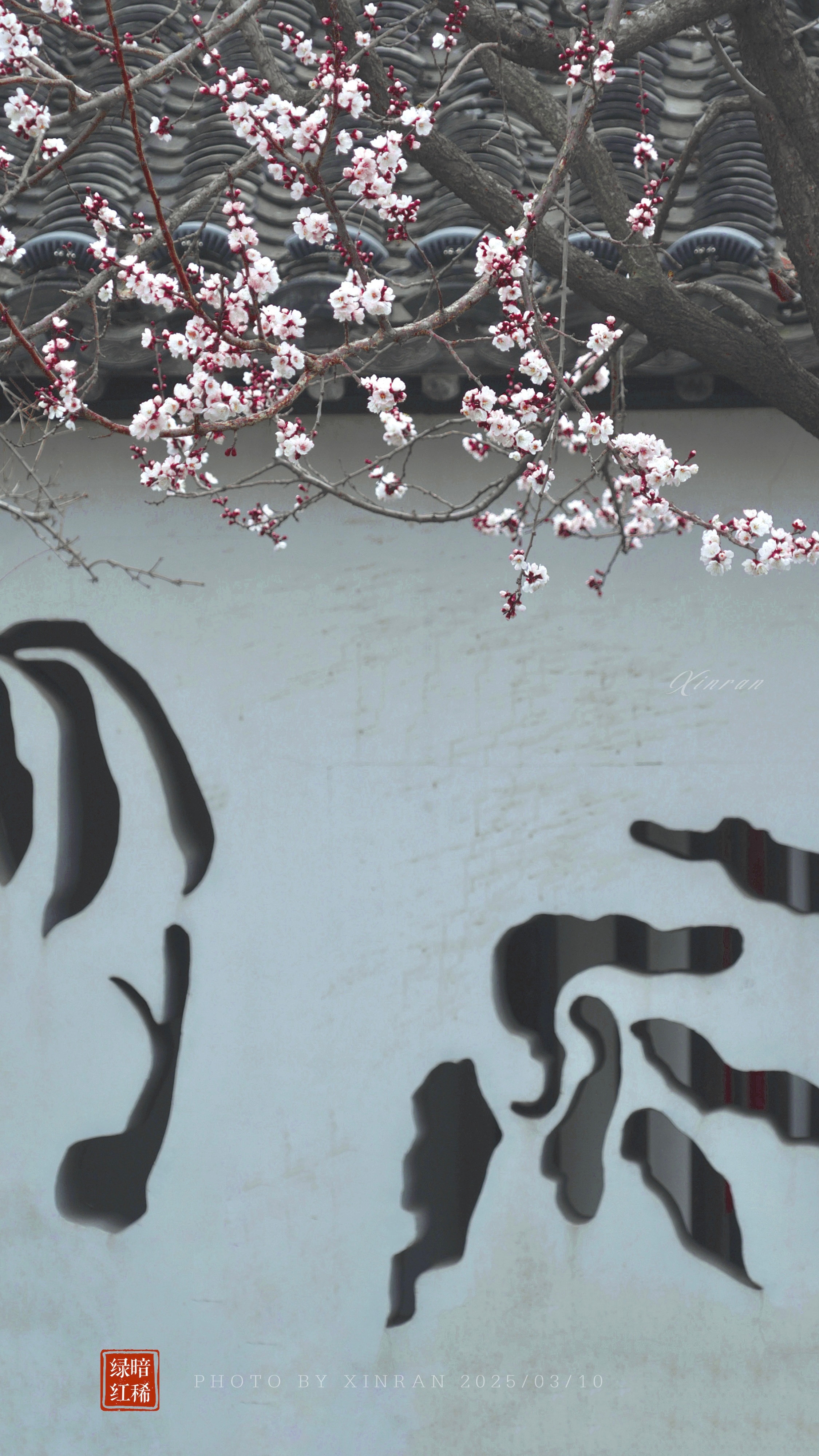 紅杏出墻新變化，自信閃耀，成就無(wú)限可能的學(xué)習(xí)之旅