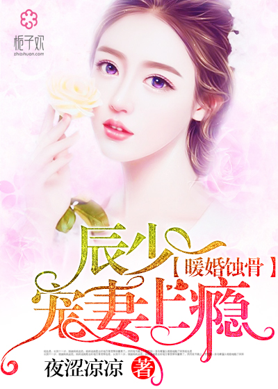 陸少寵上癮最新動態(tài)，日常趣事與真摯友情的獨(dú)特魅力