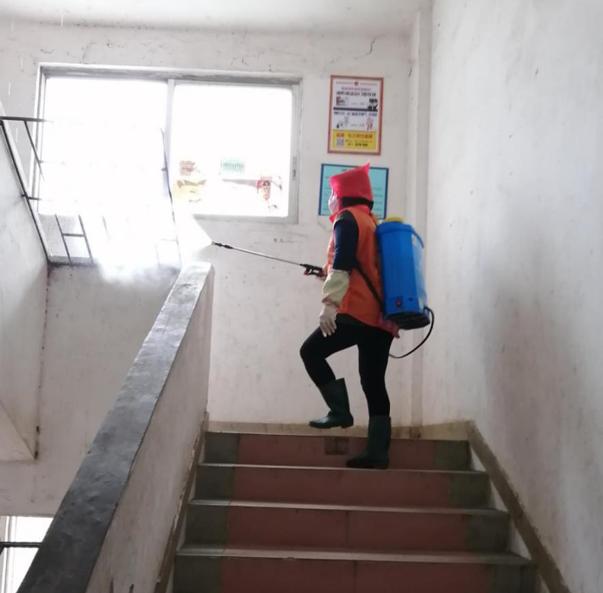 蓬江區(qū)最新高科技住宅，重塑未來生活體驗的首選之地